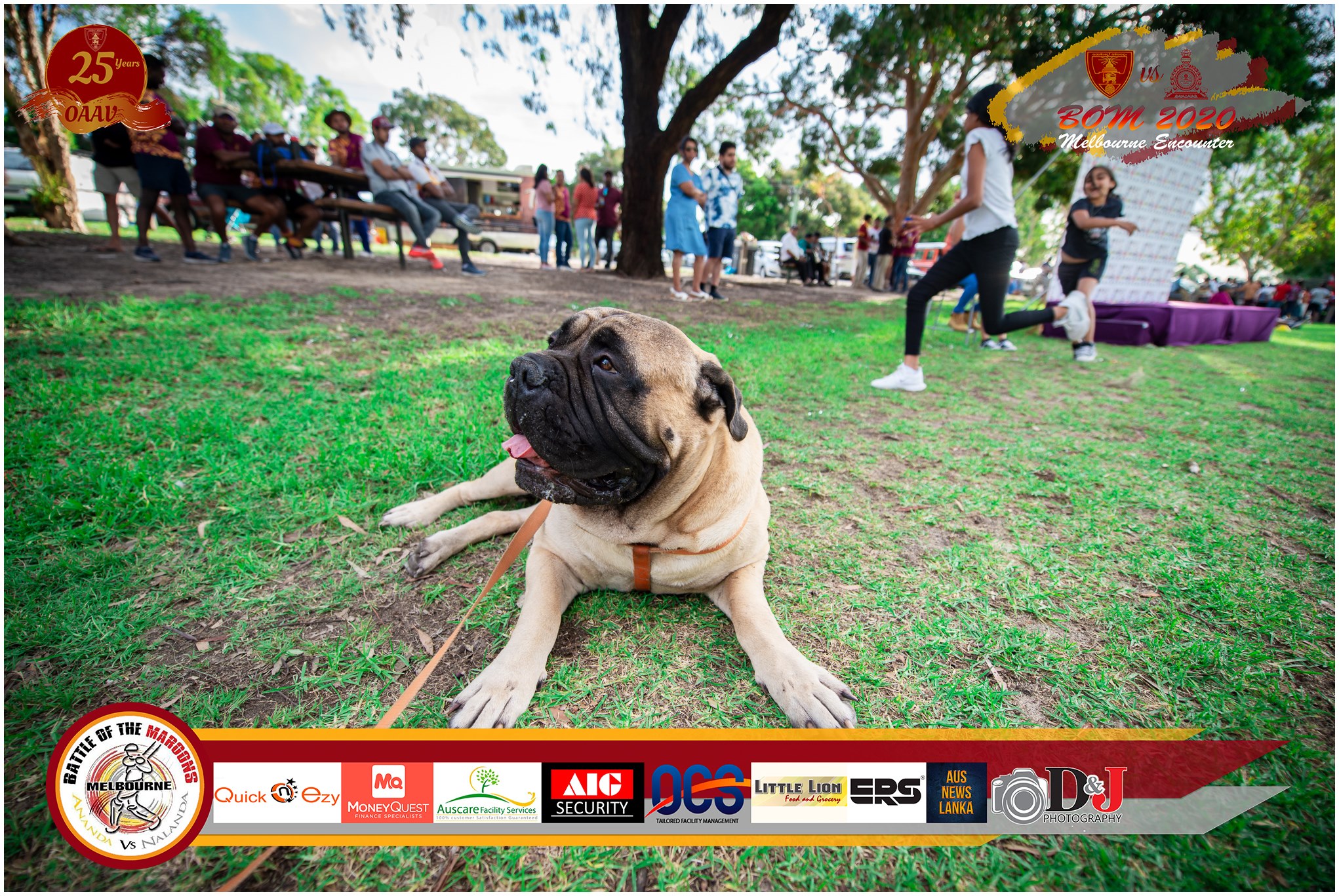 Battle of the Maroons Melbourne 2020 Photo