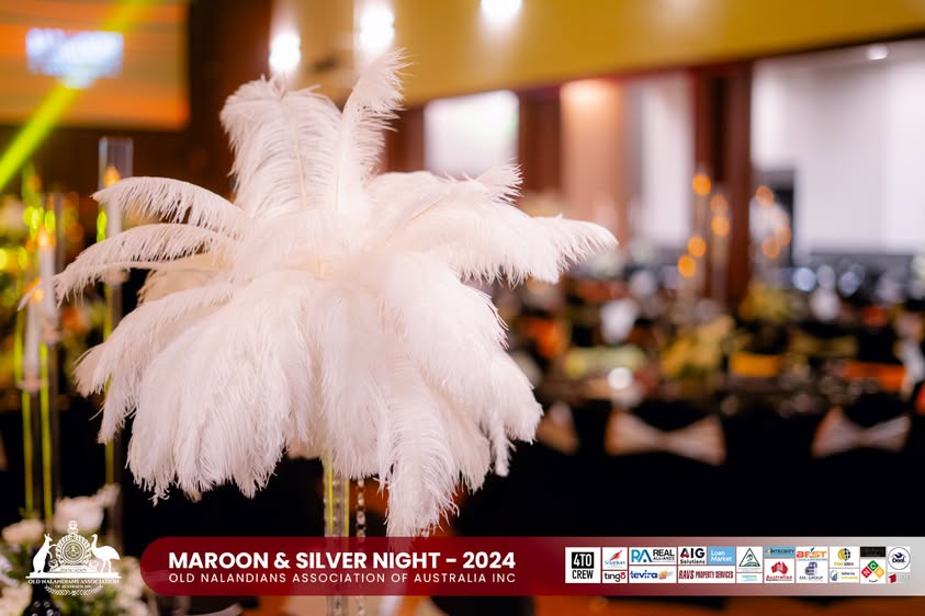 Nalanda Dinner Dance Maroon and Silver Night 2024 Photo